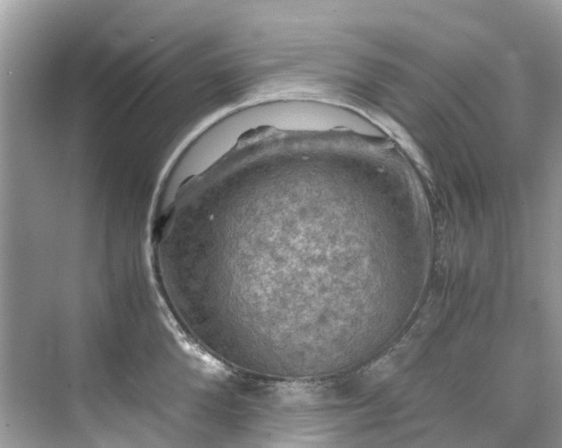 X0000075820904200609291408