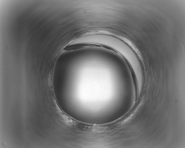 X0000075820905200609291408