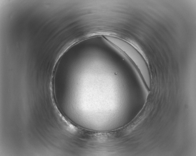 X0000075820906200609291408