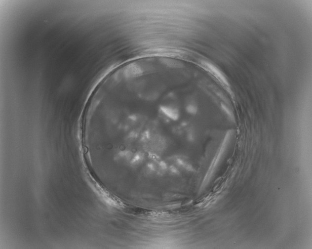 X0000075820907200609291408