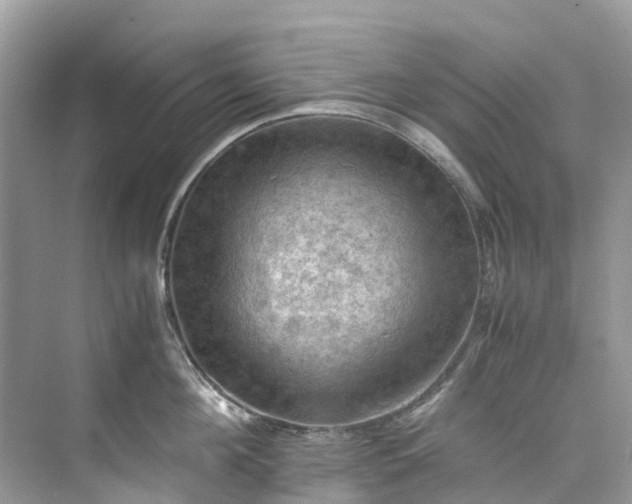 X0000075820908200609291408