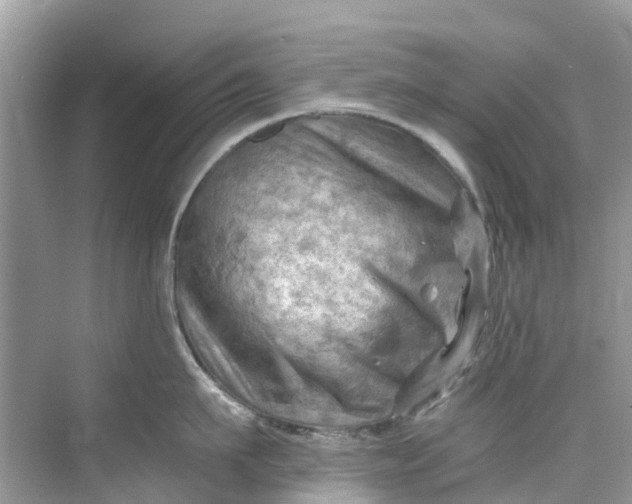 X0000075820911200609291407