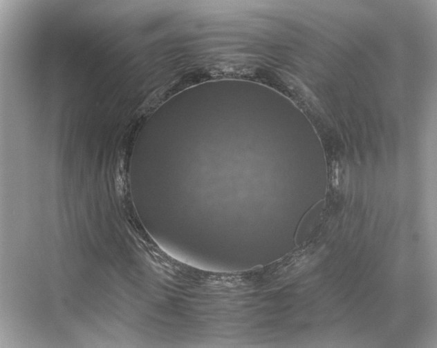 X0000075820915200609291407