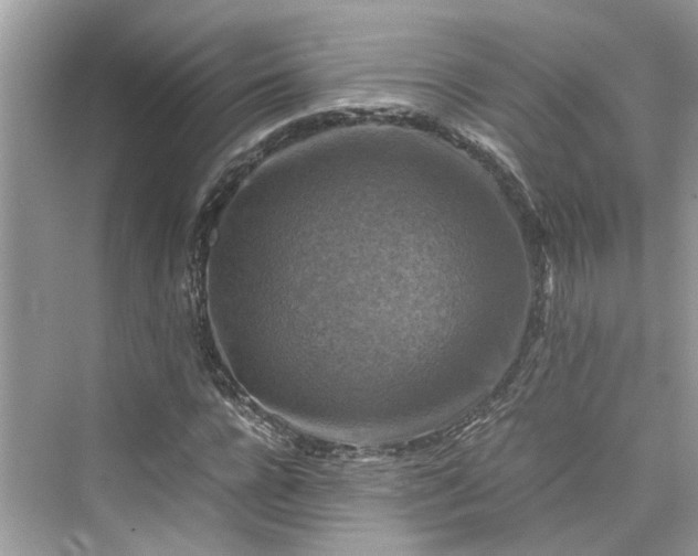 X0000075820920200609291407