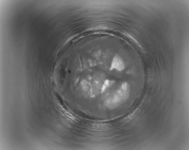 X0000075820921200609291407