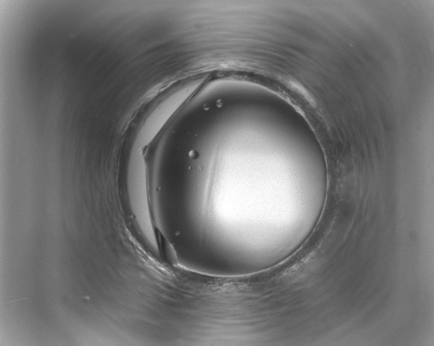 X0000075820922200609291407