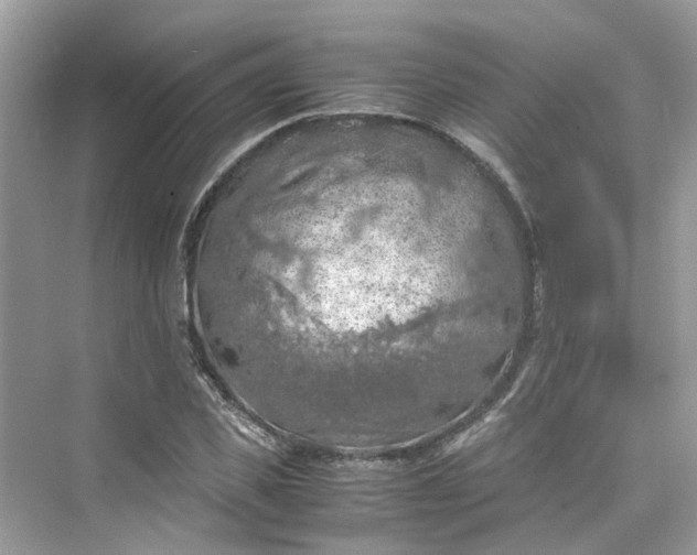 X0000075820925200609291407