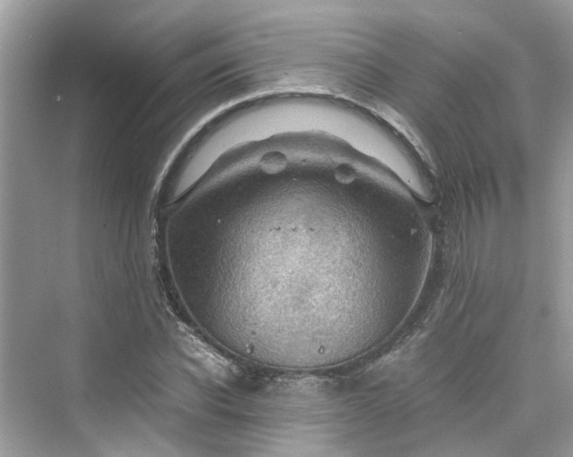 X0000075820926200609291407