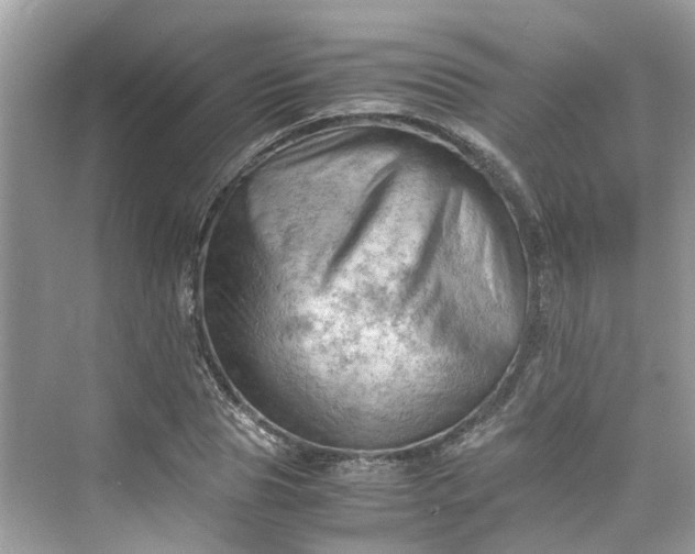 X0000075820929200609291407