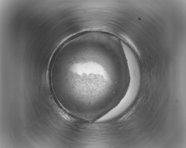 X0000075820932200609291407