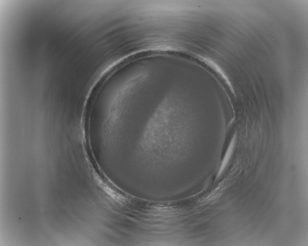 X0000075820935200609291407