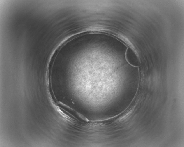 X0000075820939200609291407