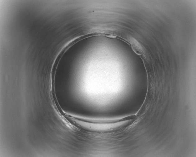 X0000075820940200609291407