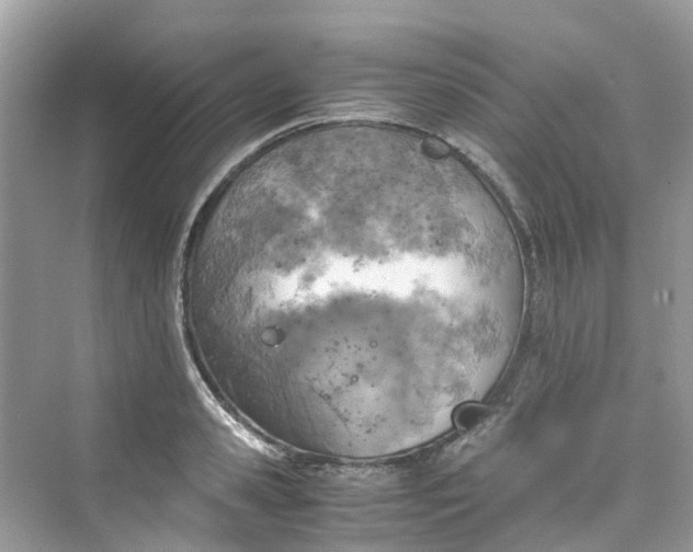 X0000075820941200609291407