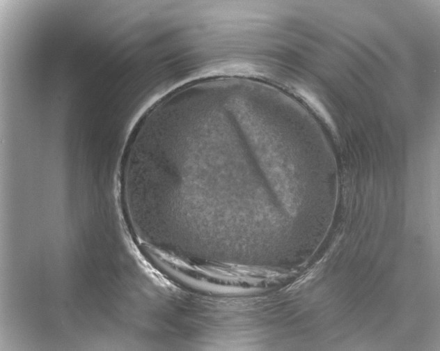 X0000075820944200609291407