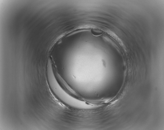 X0000075820945200609291407