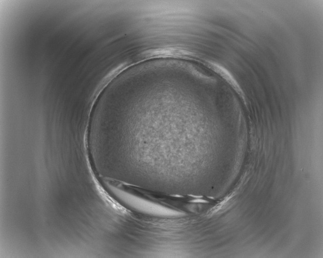 X0000075820946200609291407