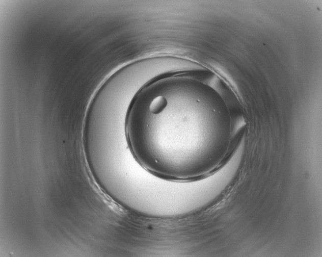 X0000075820948200609291407