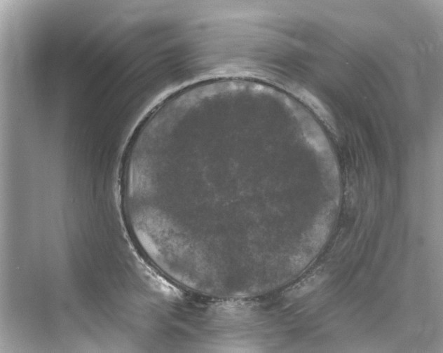 X0000075820950200609291407