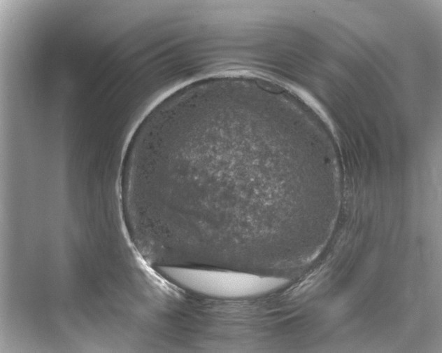 X0000075820951200609291407