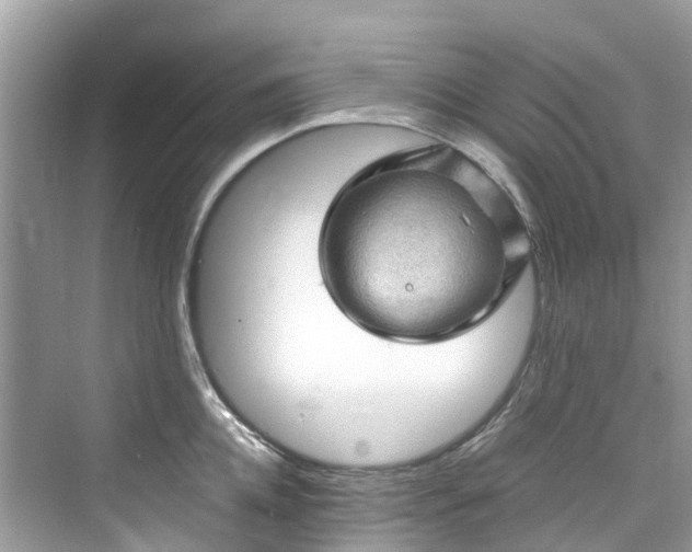 X0000075820952200609291407