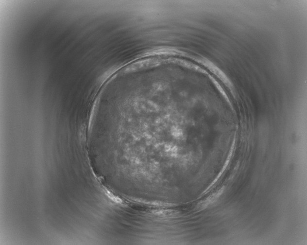 X0000075820953200609291407