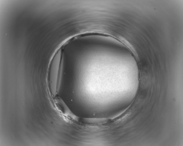 X0000075820956200609291407