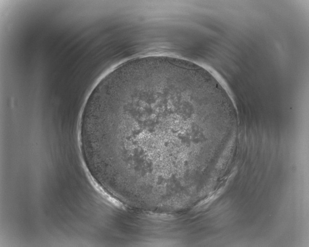 X0000075820957200609291407