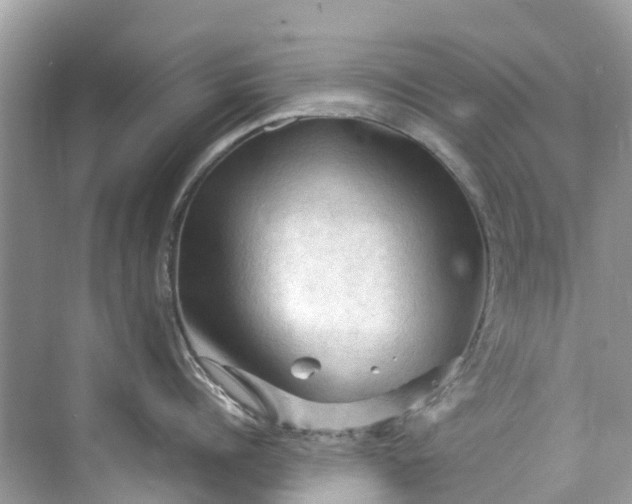 X0000075820960200609291407