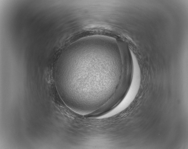 X0000075820965200609291407