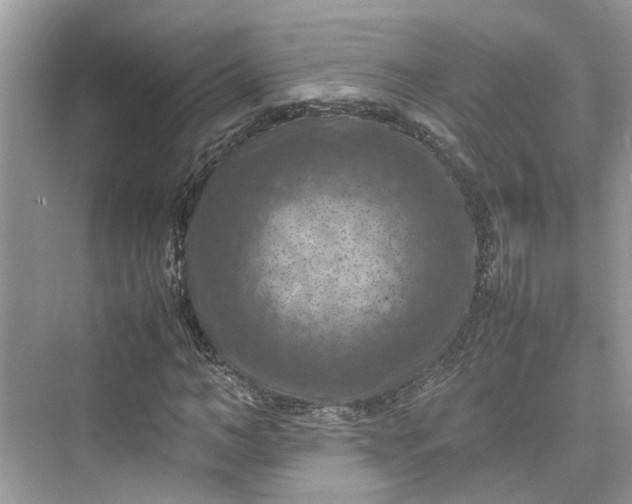 X0000075820966200609291407