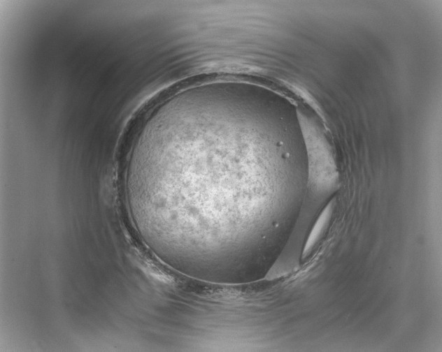 X0000075820971200609291406