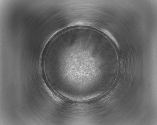 X0000075820972200609291406