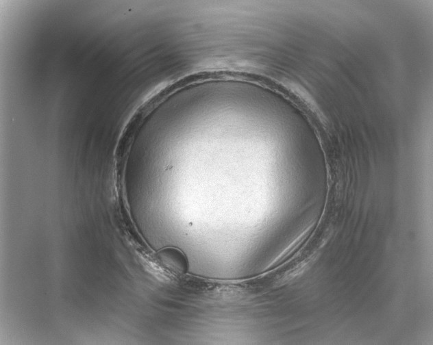 X0000075820974200609291406