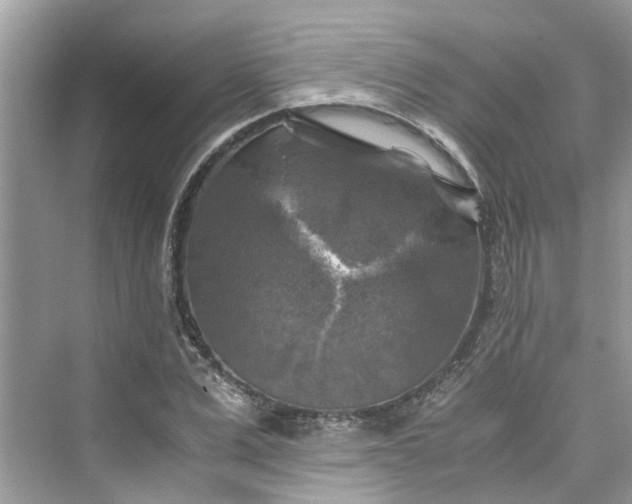 X0000075820975200609291406