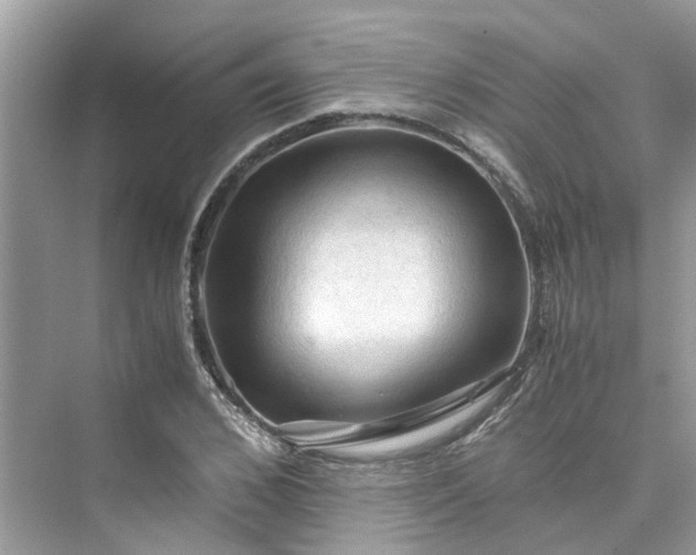 X0000075820976200609291406