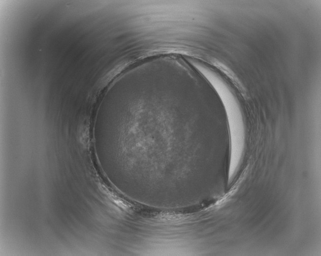 X0000075820977200609291406