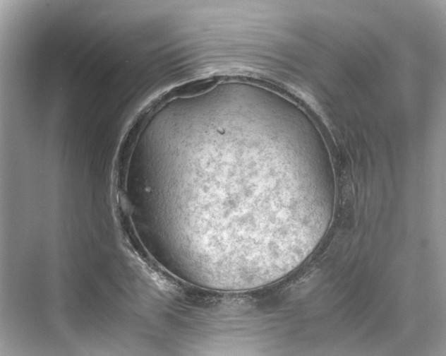 X0000075820979200609291406