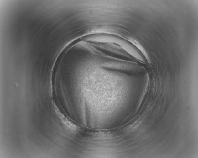 X0000075820980200609291406