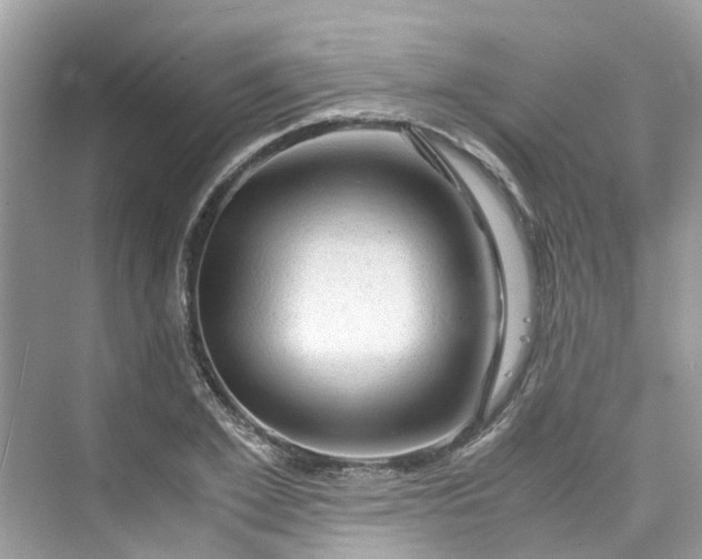 X0000075820981200609291406