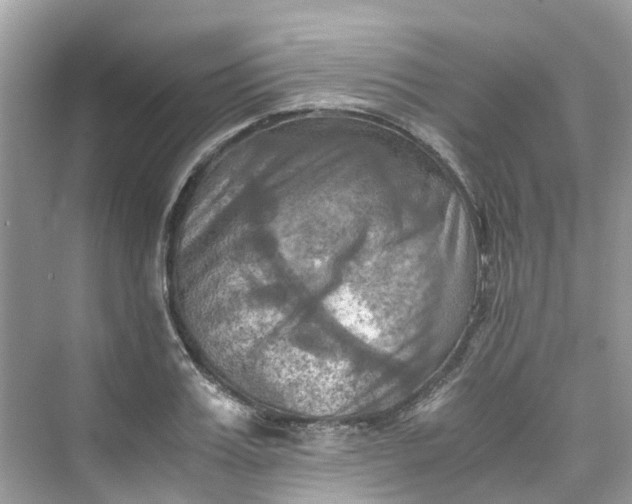 X0000075820987200609291406