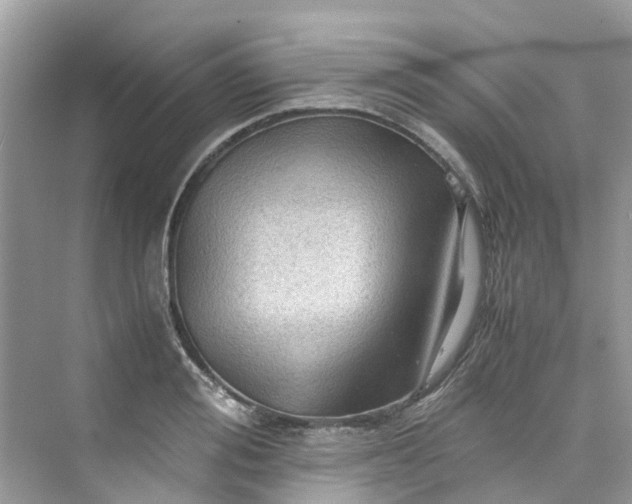 X0000075820988200609291406