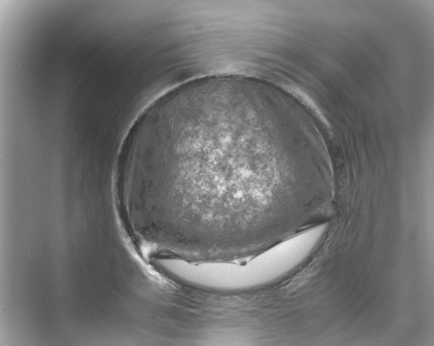 X0000075820991200609291406