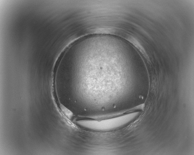 X0000075820992200609291406