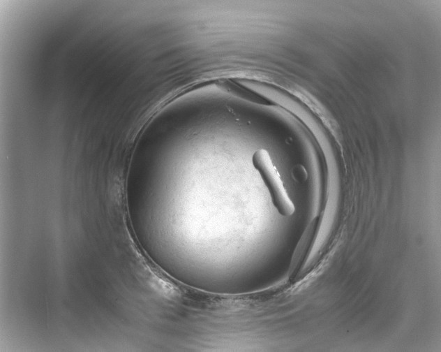 X0000075820993200609291406