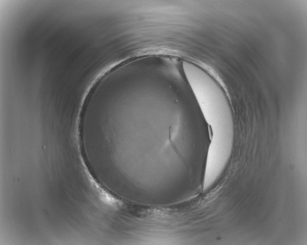 X0000075820995200609291406