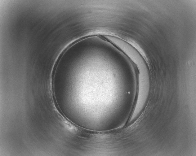 X0000075820996200609291406