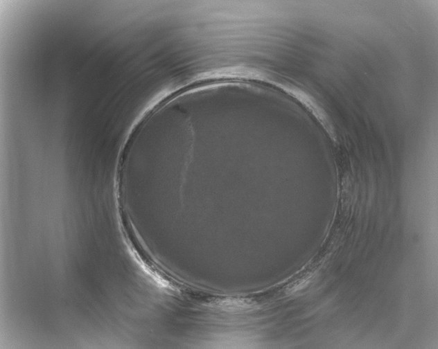 X0000075820998200609291406