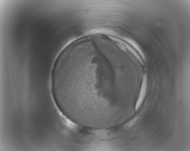 X0000075820999200609291406