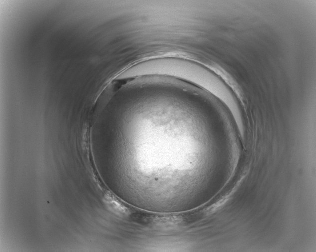 X0000075821001200609291406